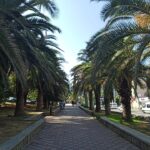 ВТБ и OneTwoTrip: весной туристы чаще путешествовали в некурортные регионы