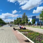 Йошкар-Олу украсят пятью тысячами цветов